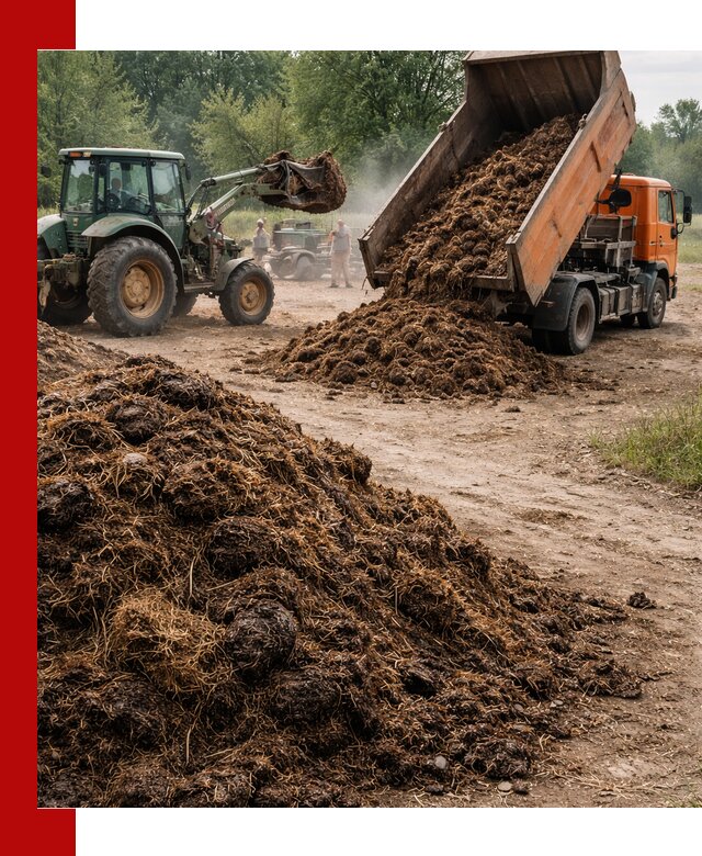 Доставка навоза самосвалами в Чапаевске для сельхозпотребностей